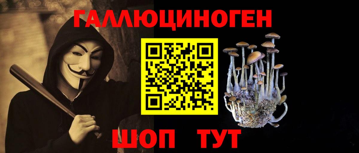 Видное  Галлюциногенные грибы Psilocybine cubensis  Вход с VPN  Галлюциногенные грибы прущие грибы 