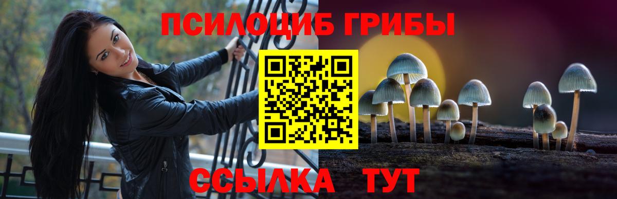 Галлюциногенные грибы Psilocybine cubensis Видное