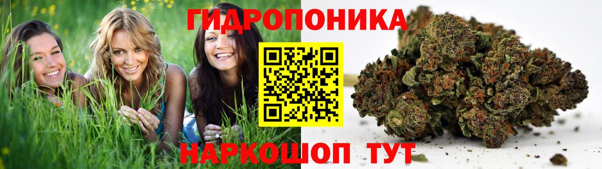 Каннабис конопля Видное